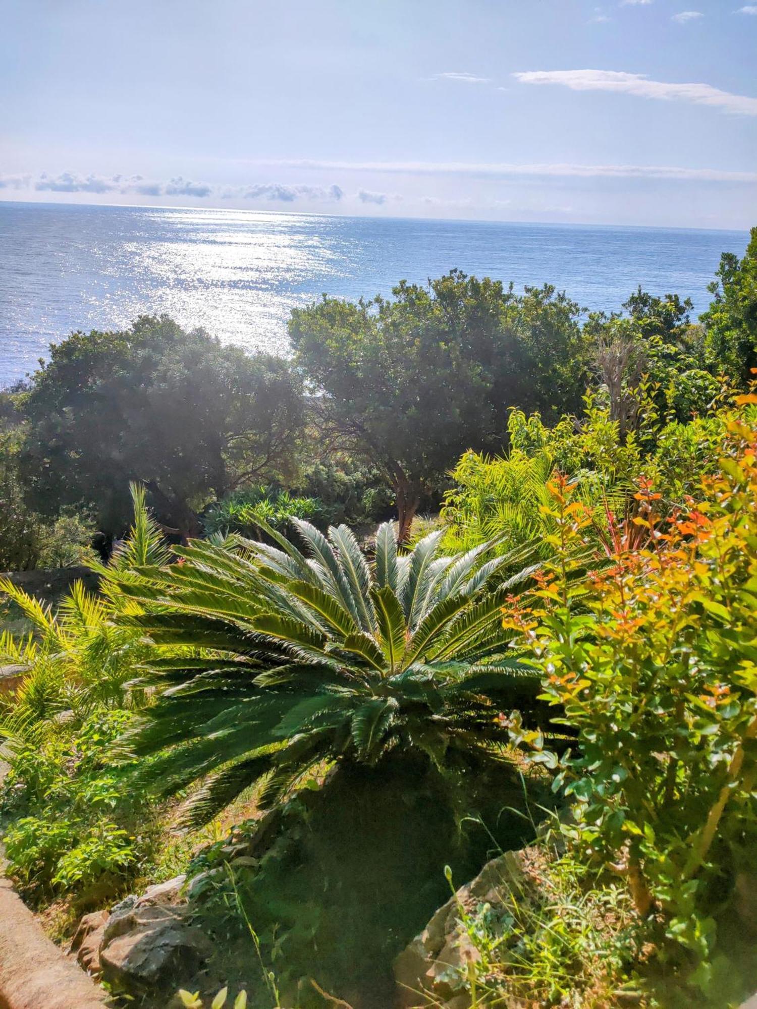 Studio Vue Sur Mer Конка Экстерьер фото