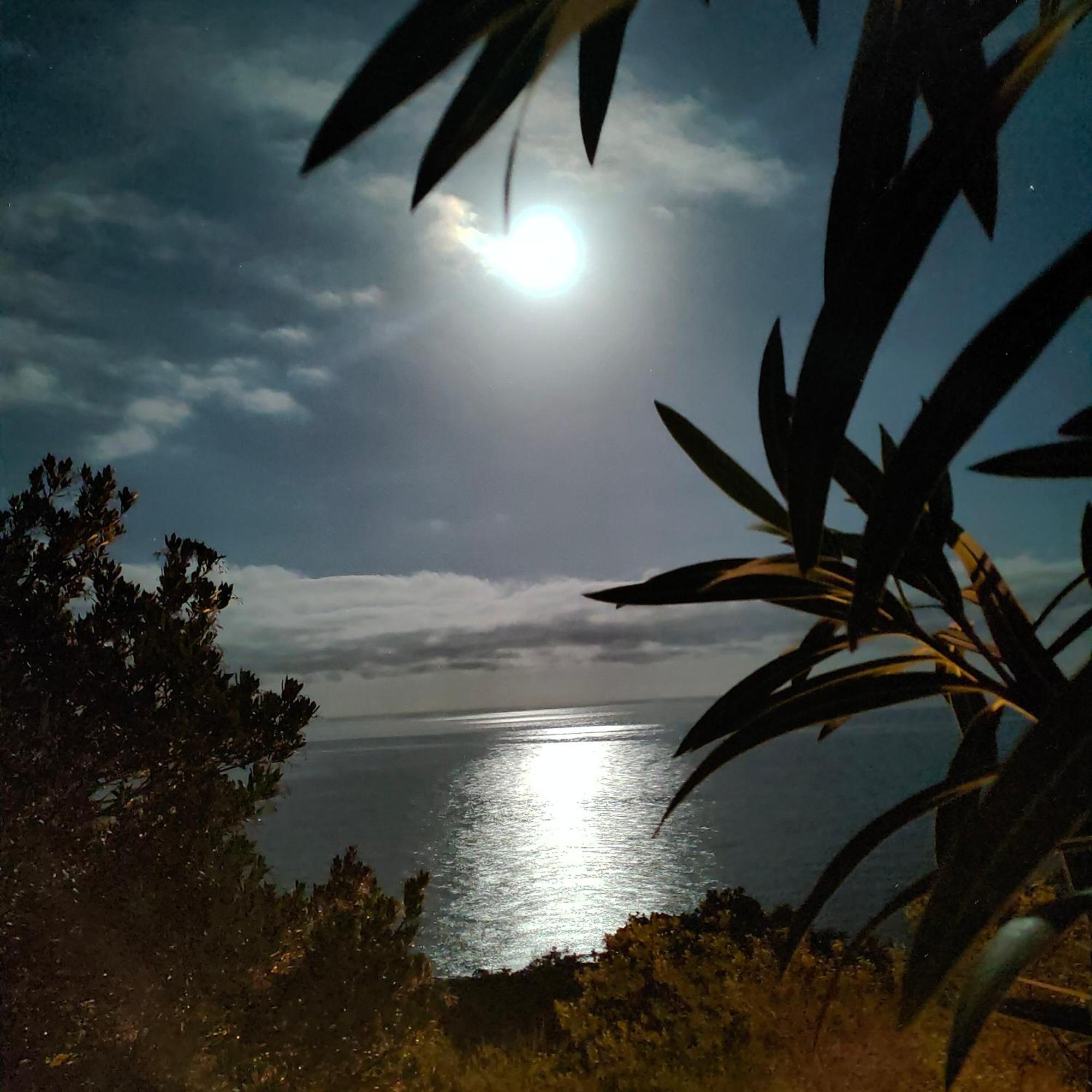 Studio Vue Sur Mer Конка Экстерьер фото