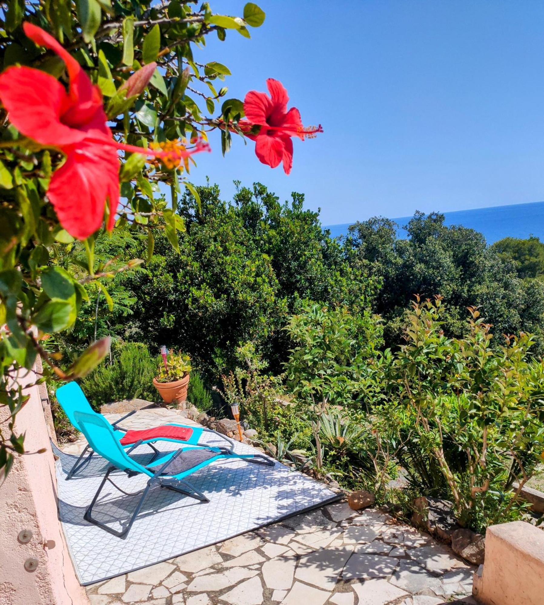 Studio Vue Sur Mer Конка Экстерьер фото