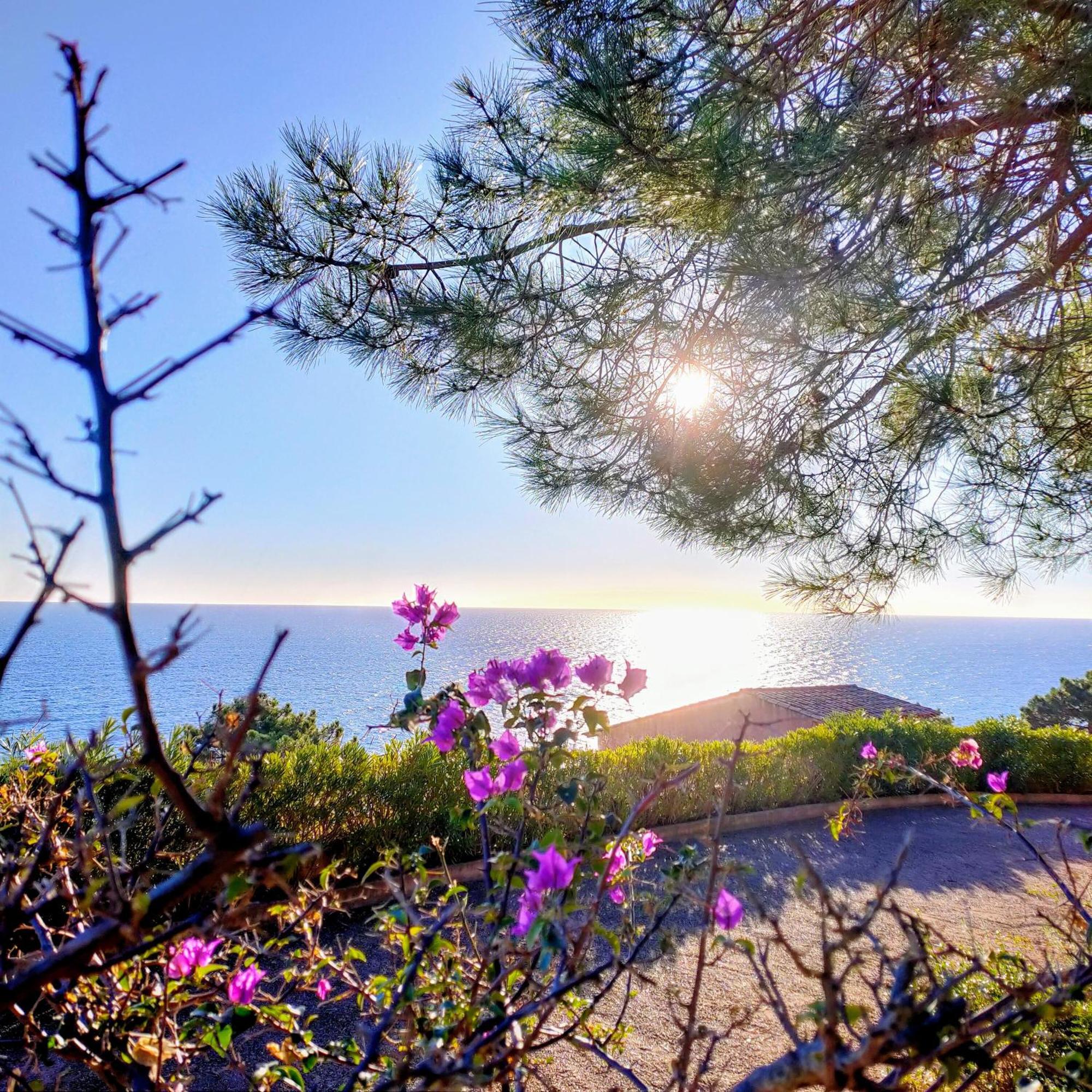 Studio Vue Sur Mer Конка Экстерьер фото