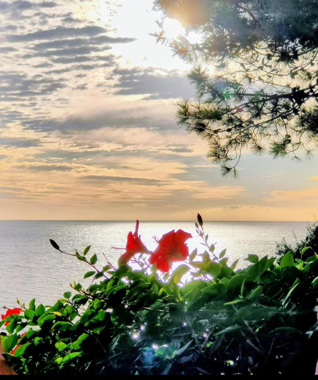 Studio Vue Sur Mer Конка Экстерьер фото